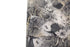 Gray and Beige Snake Print Stretch Mesh Fabric by the yard
